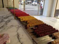 Bottega Louie