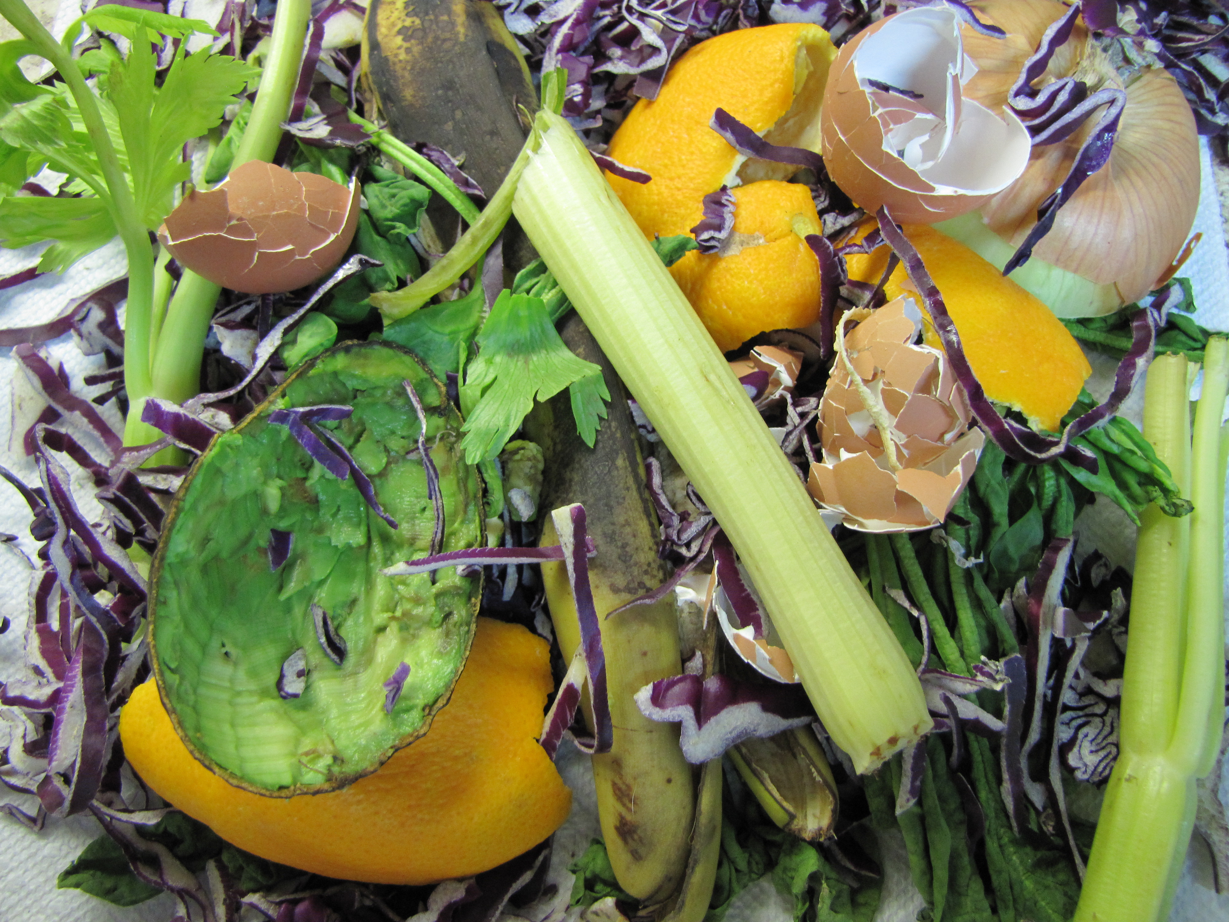 Making an Impact through Composting Climate Action Reserve Climate